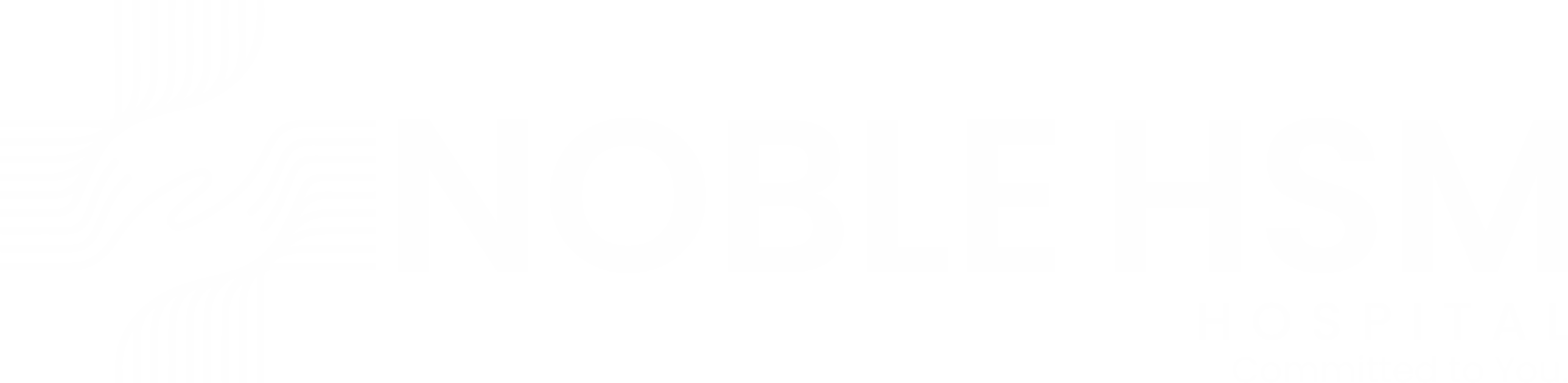 Noble HSM Hospital